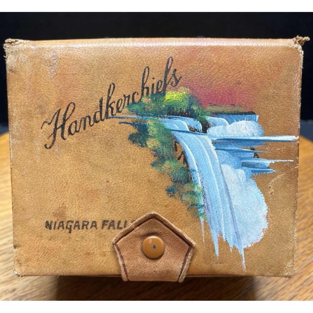 Vtg Souvenir Handkerchief Box Niagara Falls Snap Case Box Hand-Painted Travel